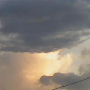 女人zozo与牛c交人
