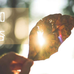 女人zozo与牛c交人
